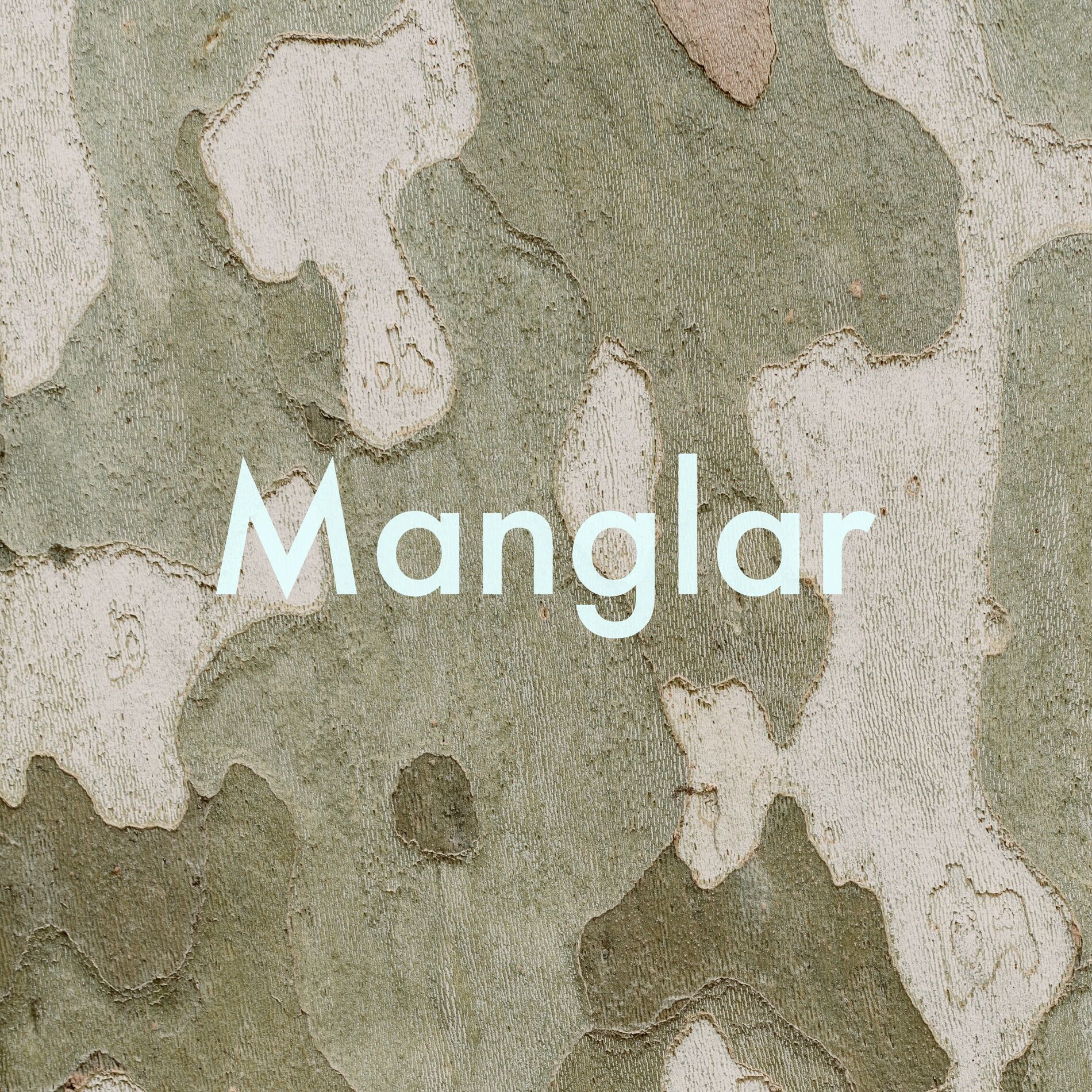 Album cover of Manglar