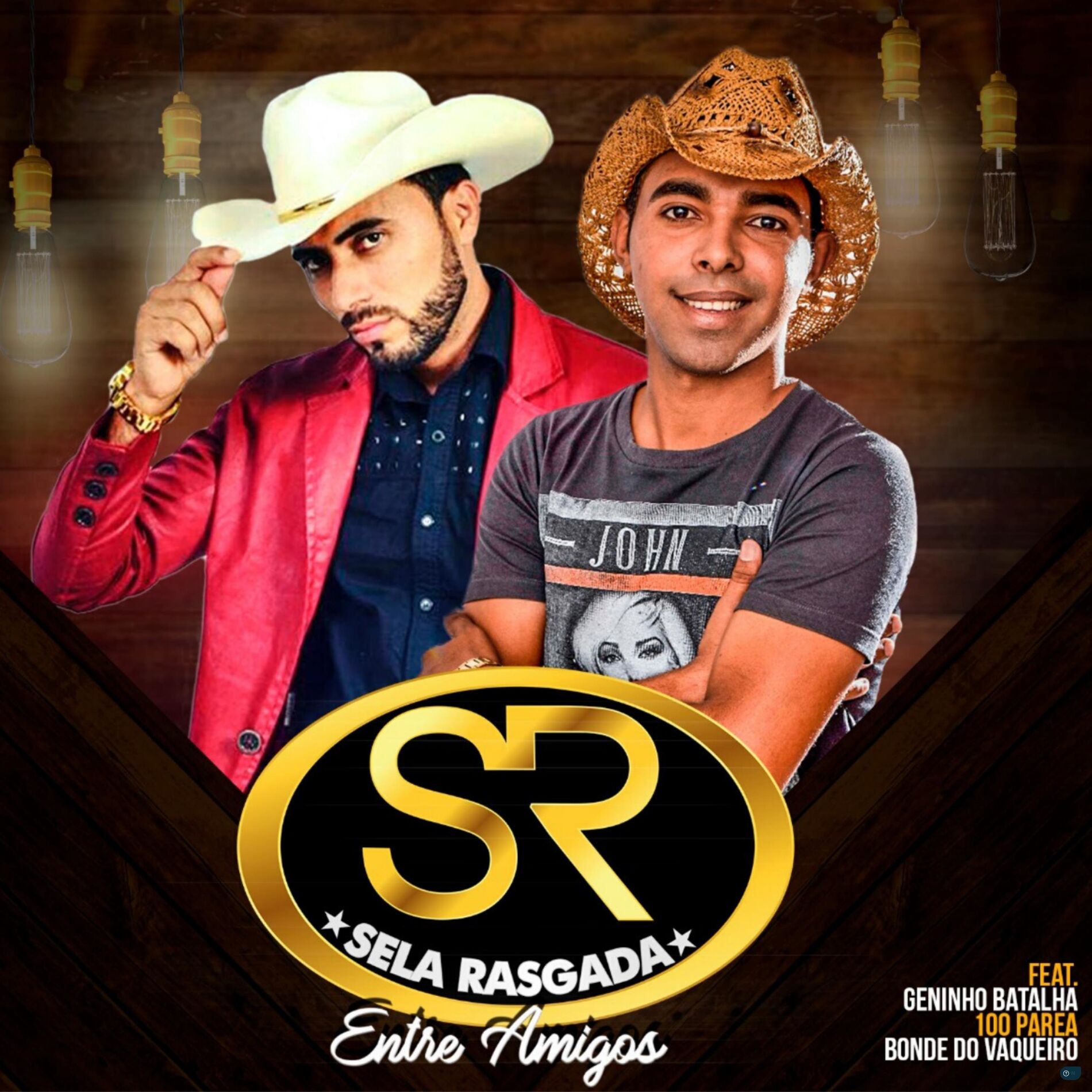 Album cover of Entre Amigos