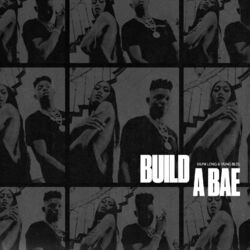 Cover of Build a Bae