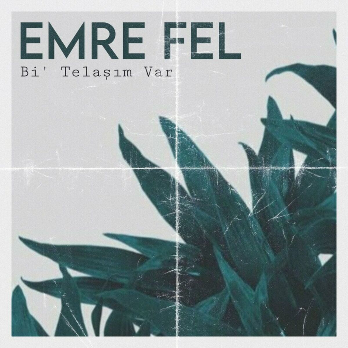Album cover of Bi' Telaşım Var