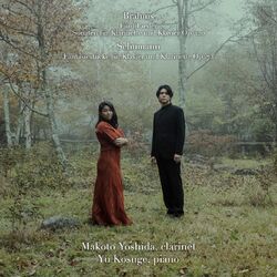 Cover of Brahms:Complete Clarinet Sonatas / Schumann:Fantasiestucke, etc.