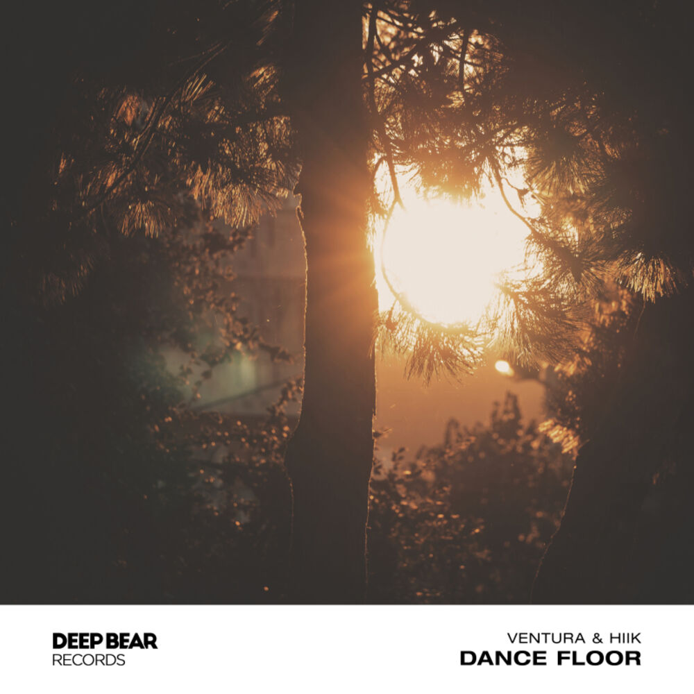 Picture of Dance Floor