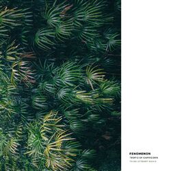 Cover of Tropic of Capricorn (Third Attempt Remix)