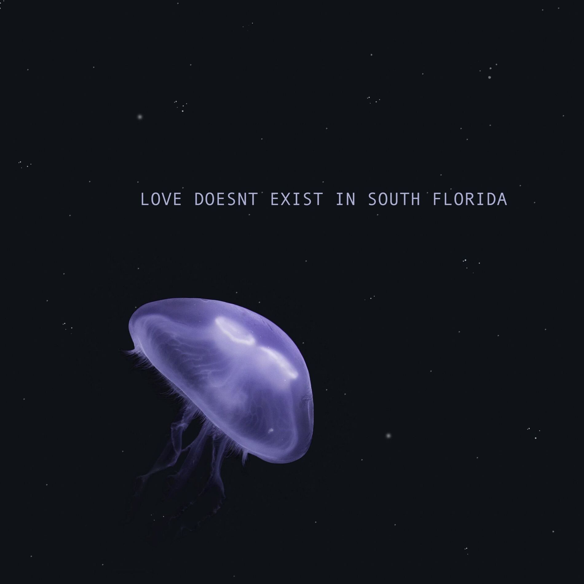 Album cover of Love Doesn't Exist in South Florida