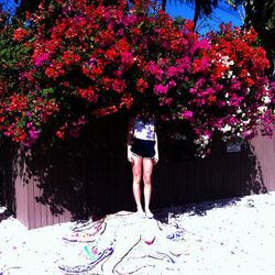 Cover of Sunlight on the Moon