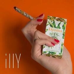Cover of Djanira