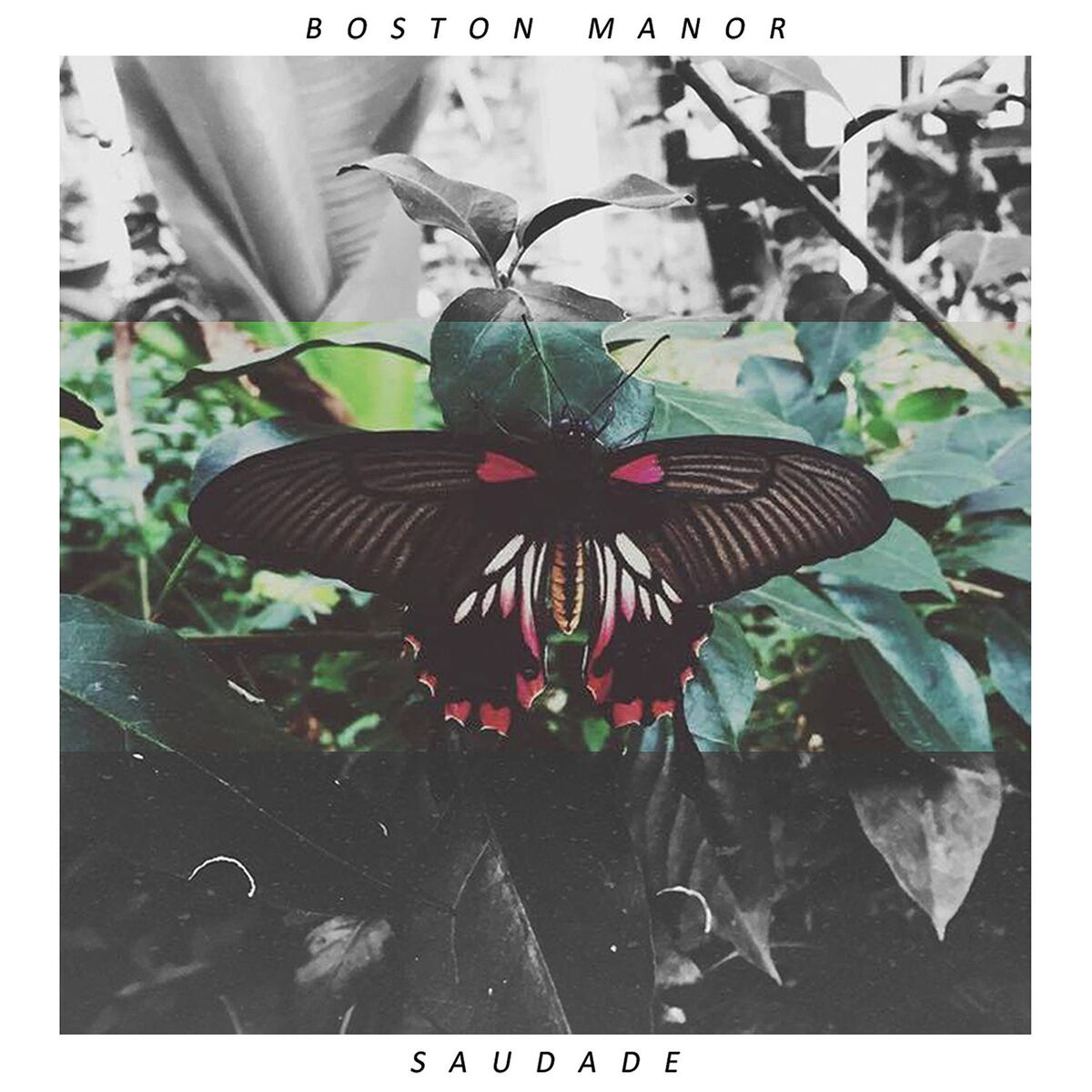 Album cover of Saudade - EP