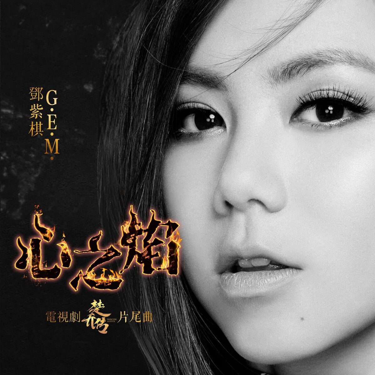 Album cover of 心之焰 (電視劇《楚喬傳》片尾曲)