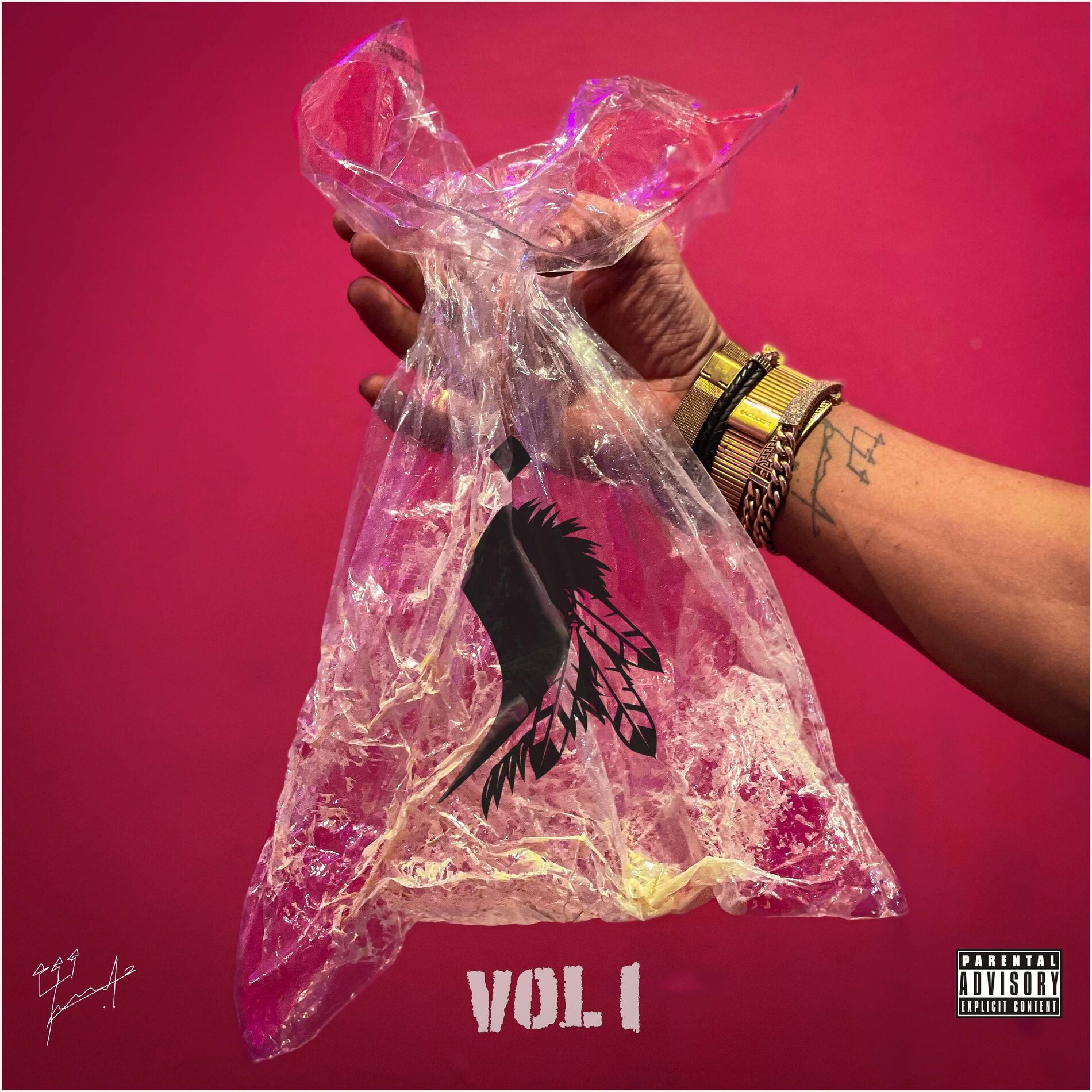 Album cover of Vu