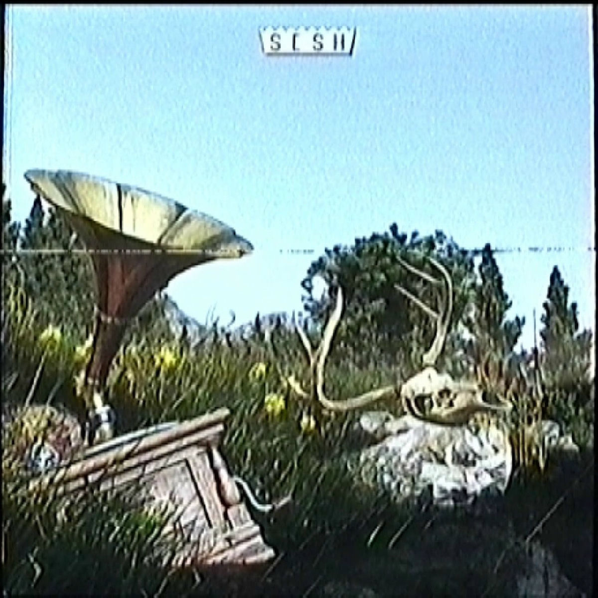 Album cover of SunlightCrescendo