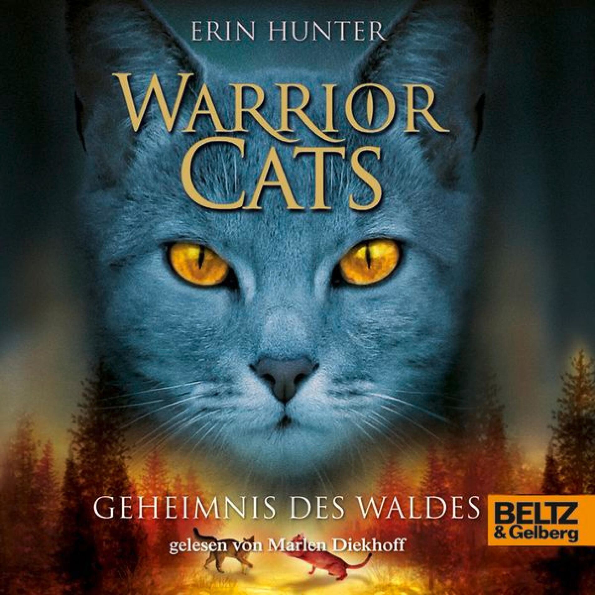 Album cover of Kapitel 1 - Warrior Cats. Geheimnis des Waldes