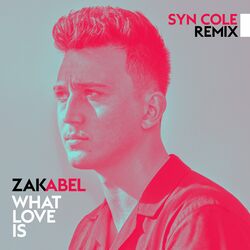 Cover of What Love Is (Syn Cole Remix)