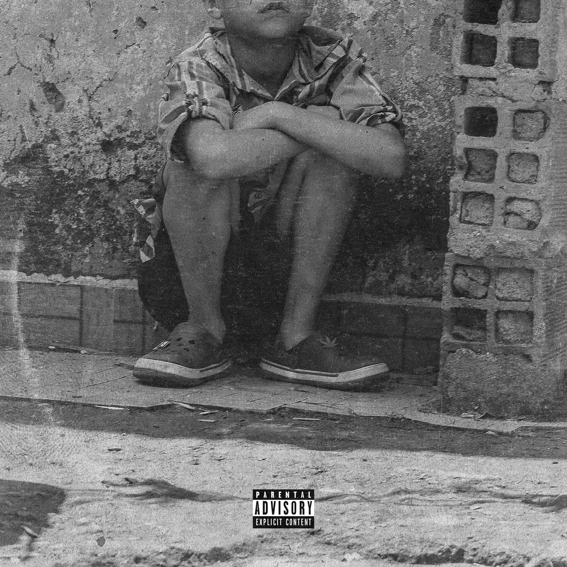 Album cover of Callejero Vagabundo