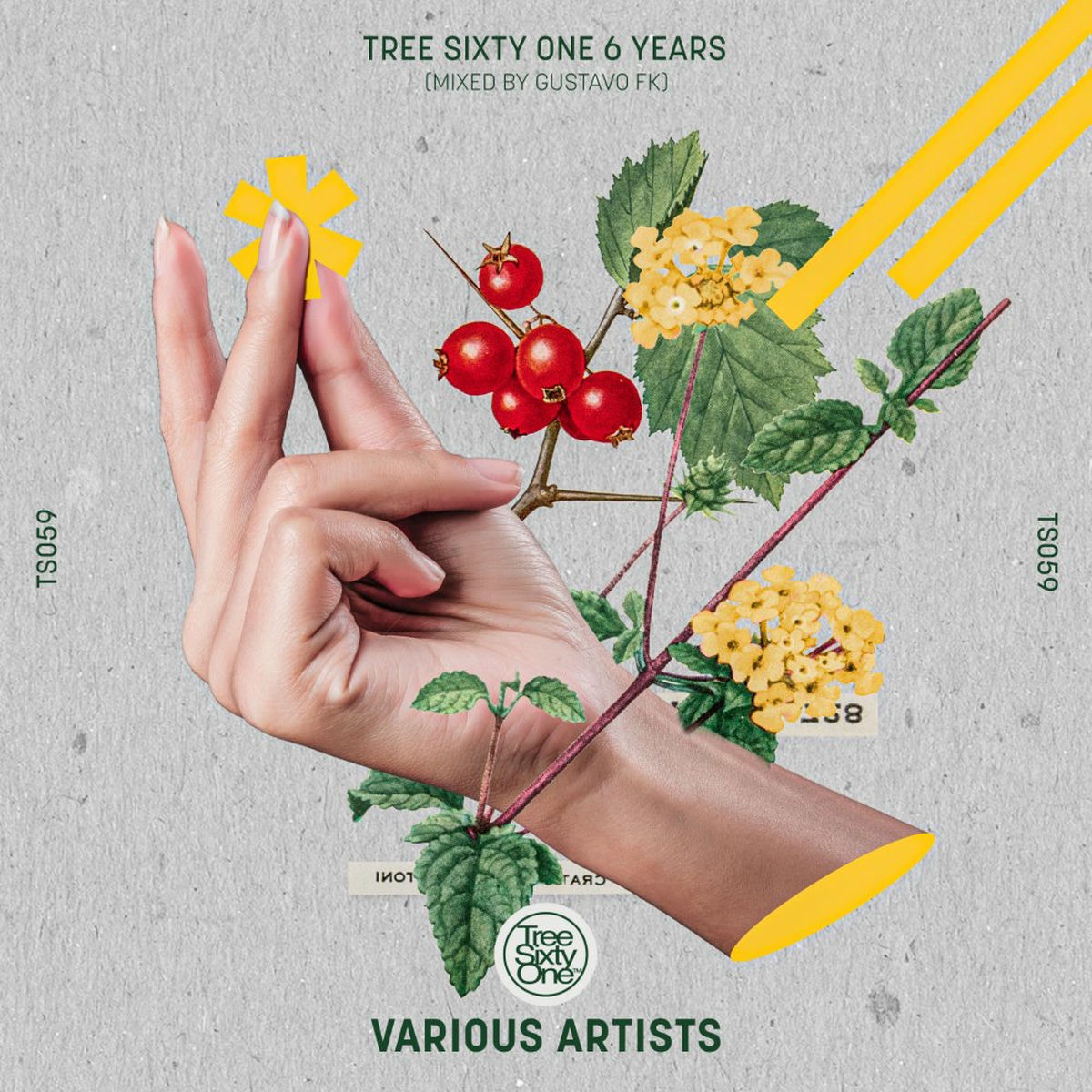 Album cover of Tree Sixty One 6 Years ´ Mixed by Gustavo Fk