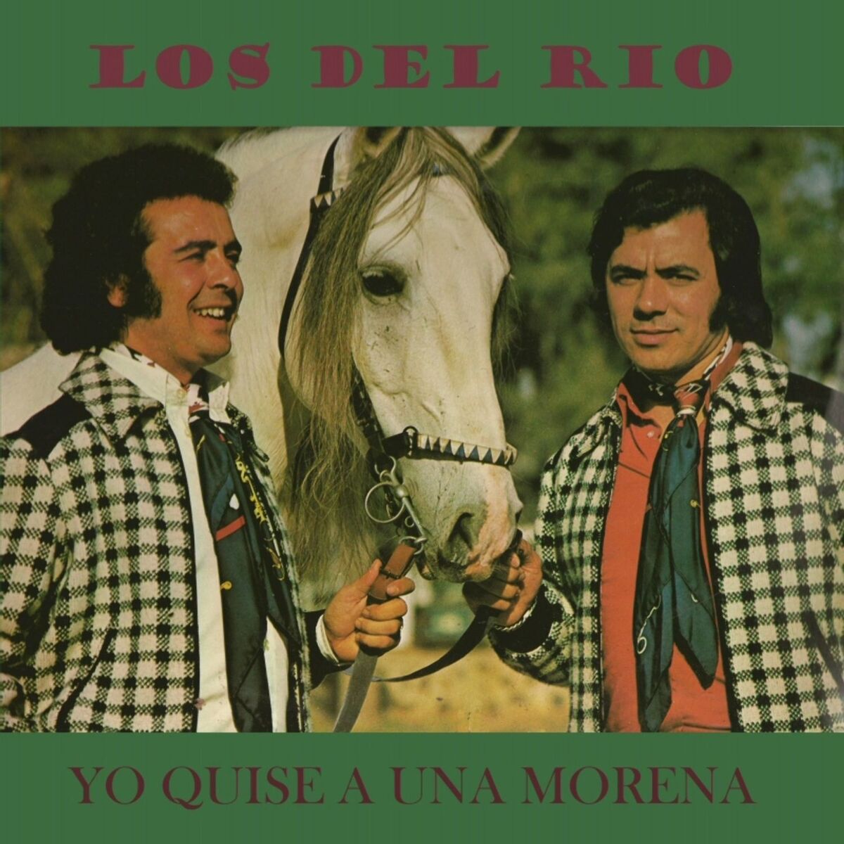 Album cover of Yo Quise a Una Morena