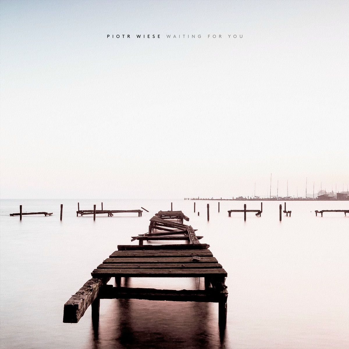 Album cover of Wiese: Waiting for You
