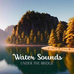Cover of Water Sounds Under the Bridge: Relaxing River Music for Moments of Peace