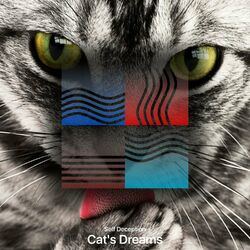 Cover of Cat's Dreams