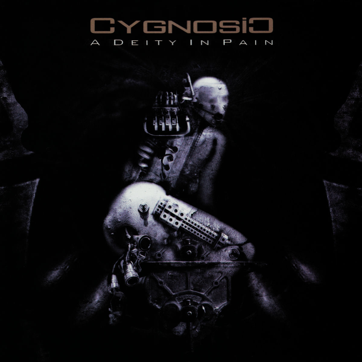 Album cover of A Deity in Pain