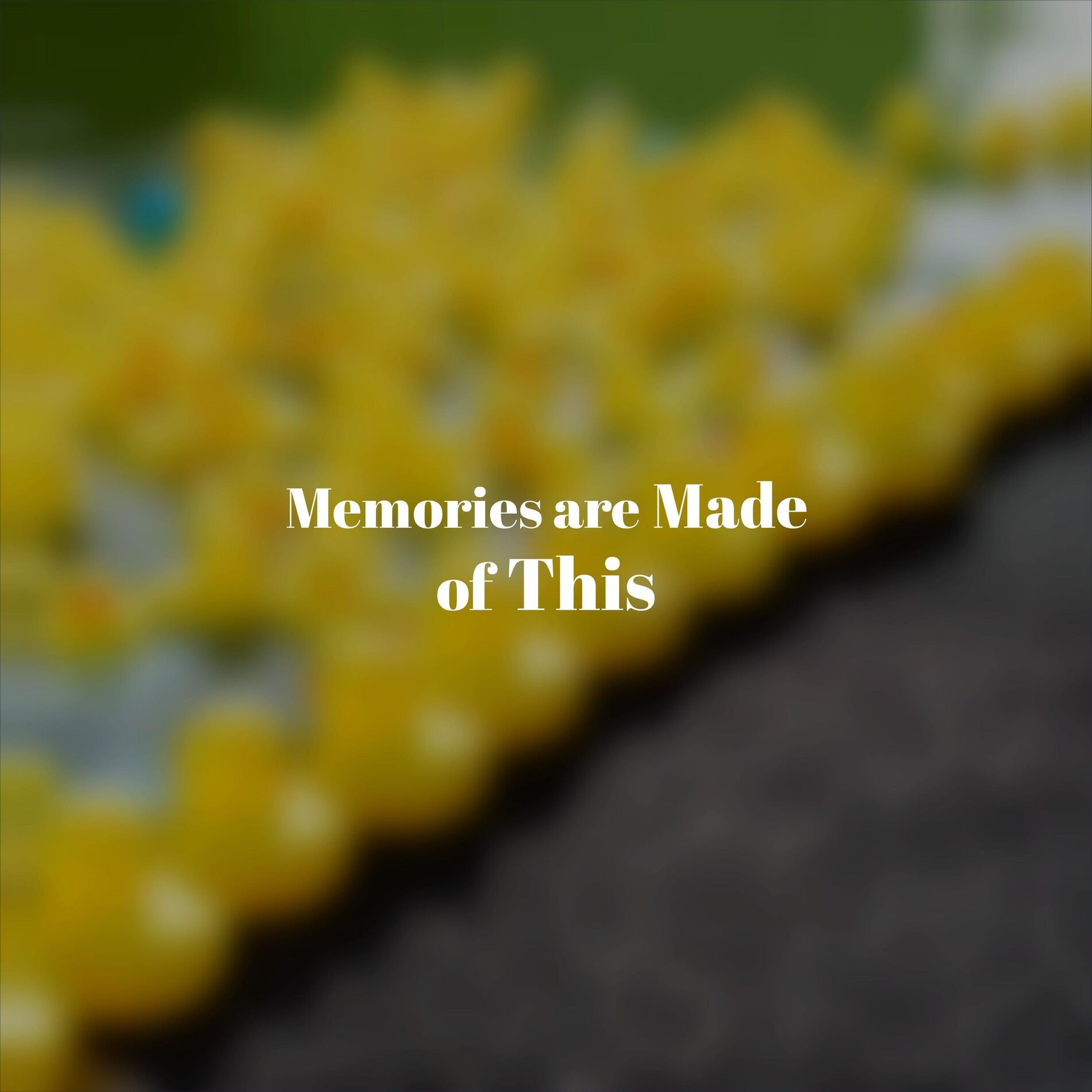 Album cover of Memories are Made of This