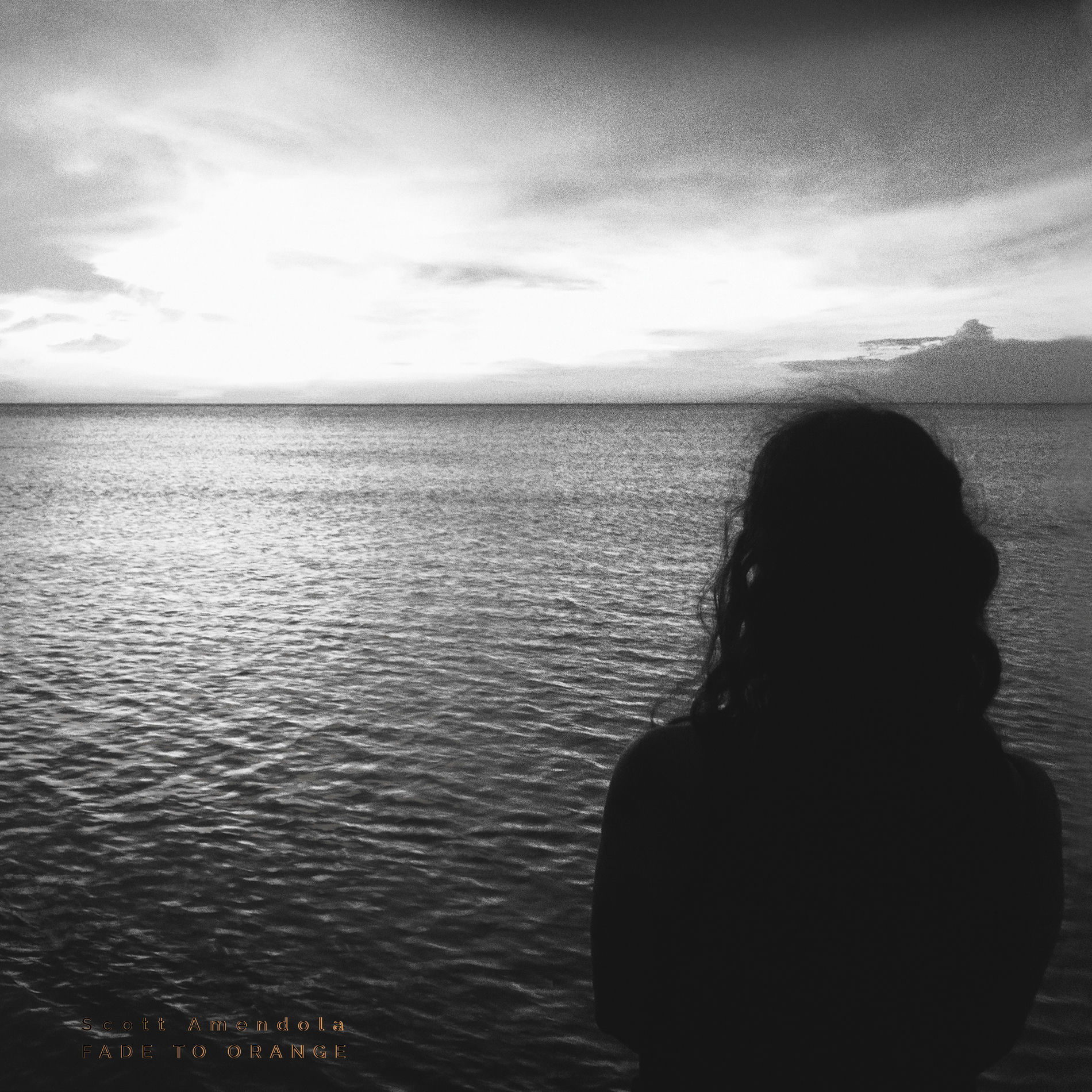 Album cover of Fade To Orange