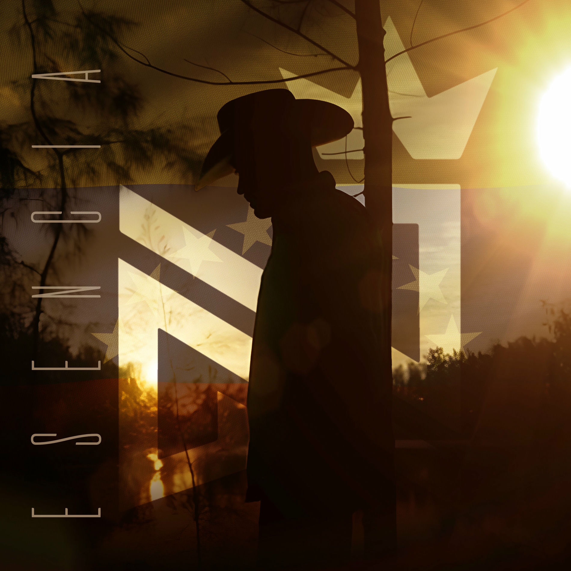 Album cover of Esencia