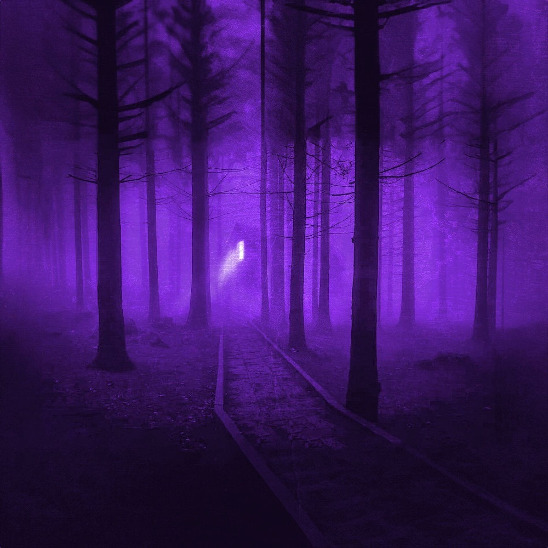 Album cover of book of jobe