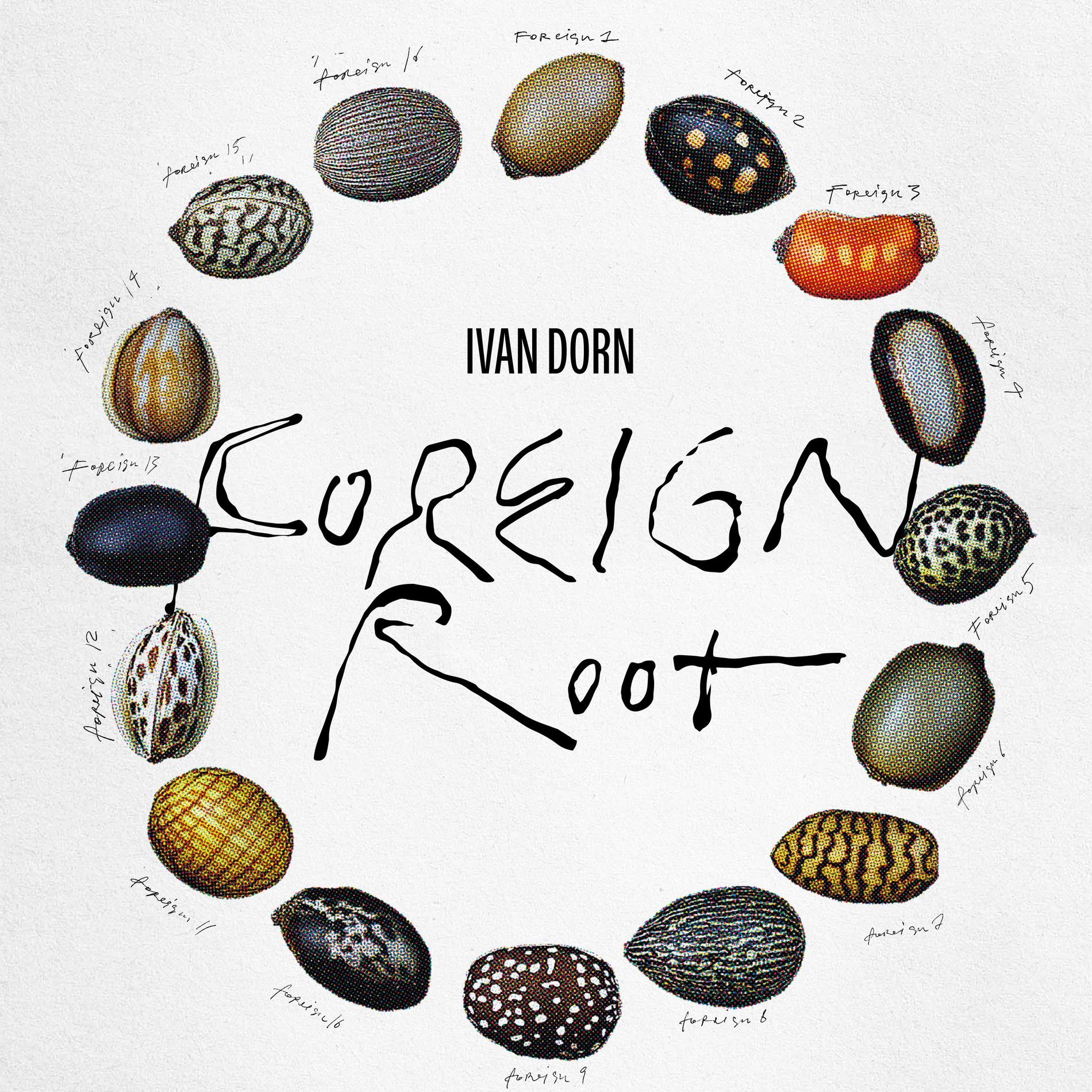Album cover of Foreign Root