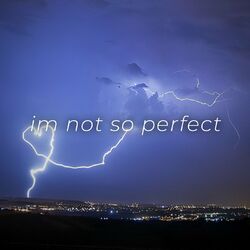 Cover of im not so perfect