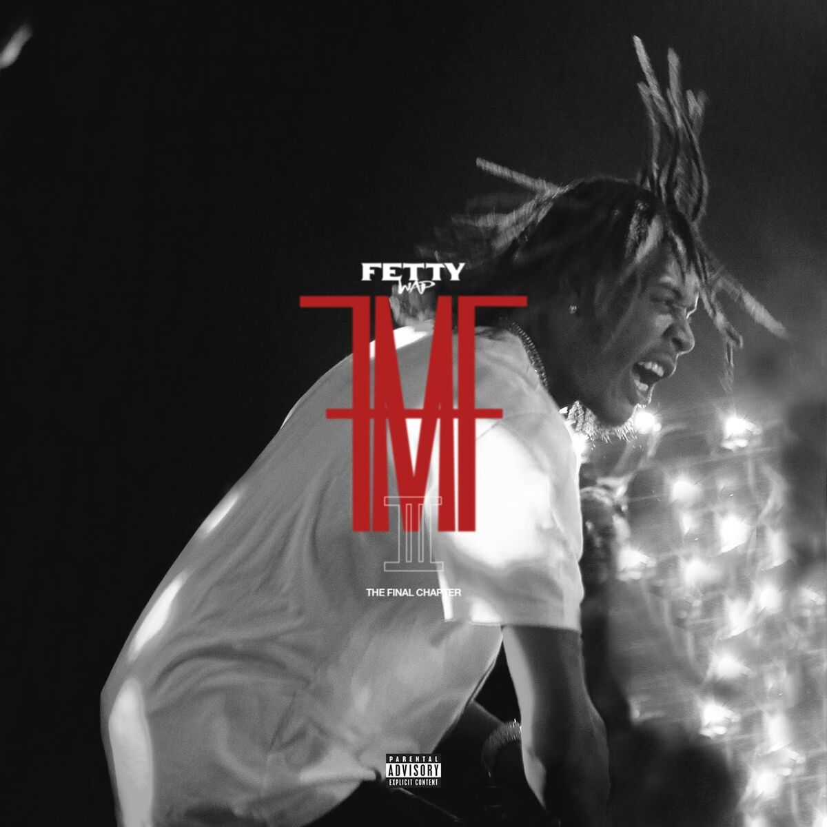 Album cover of For My Fans