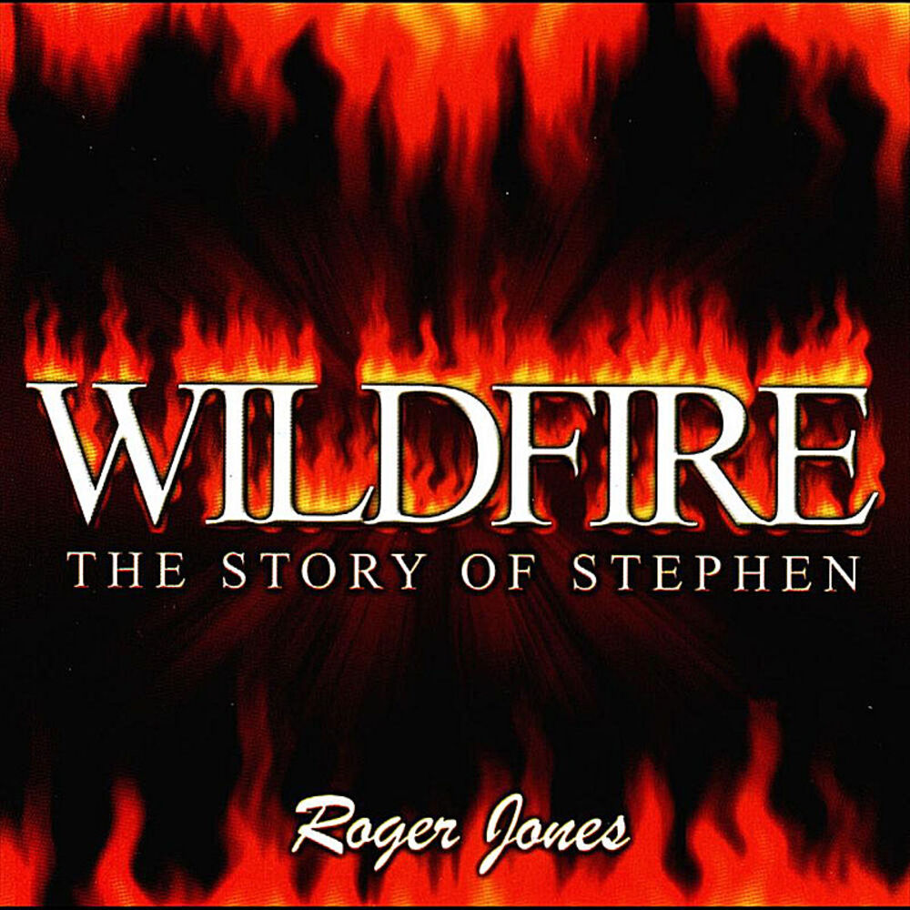 Picture of Wildfire - the story of Stephen