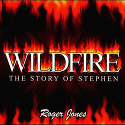 Cover of Wildfire - the story of Stephen