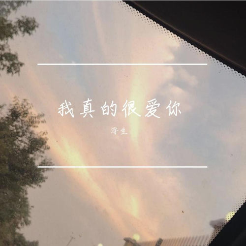 我真的很爱你