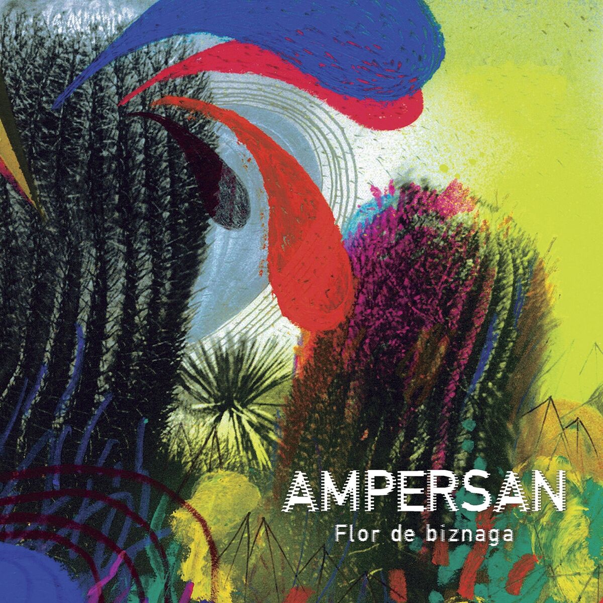 Album cover of Flor de Biznaga