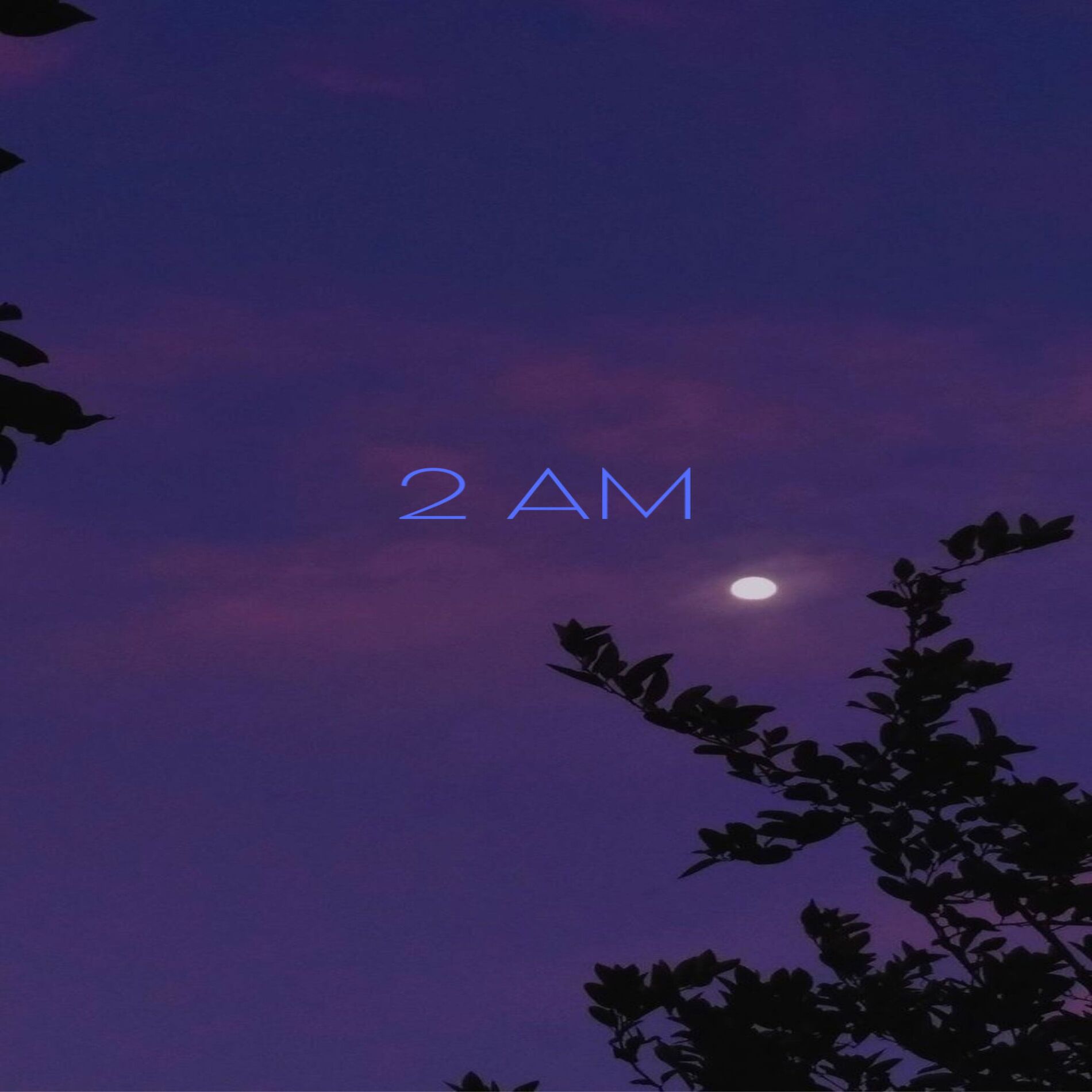 Album cover of 2 AM
