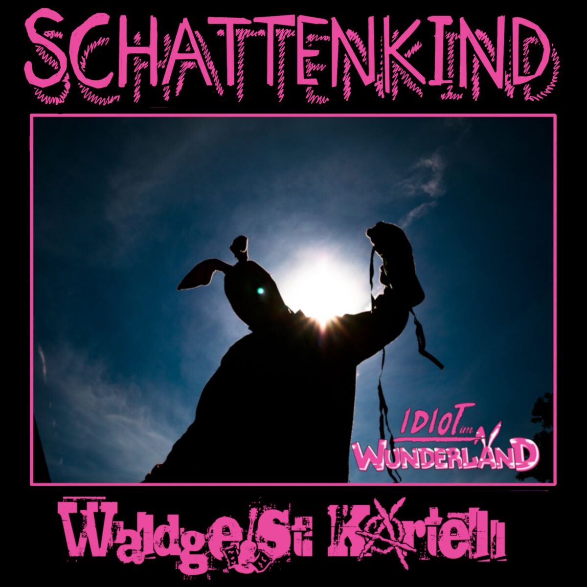 Album cover of Schattenkind