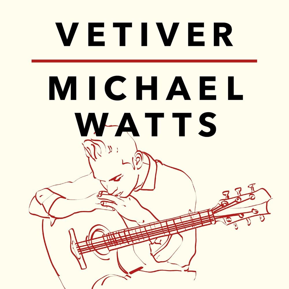 Picture of VETIVER