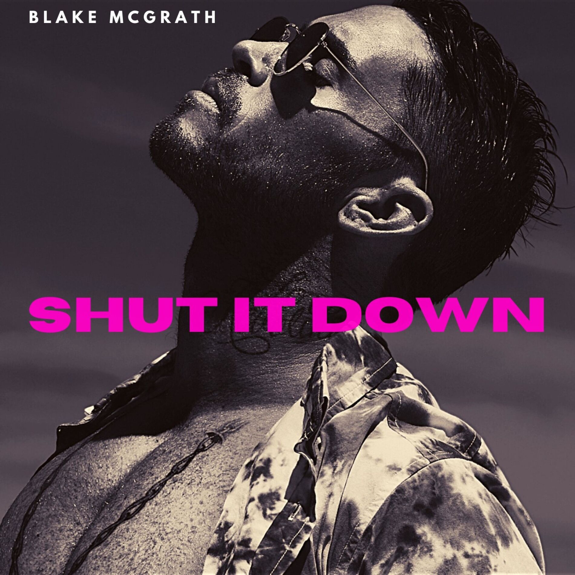 Album cover of Shut It Down