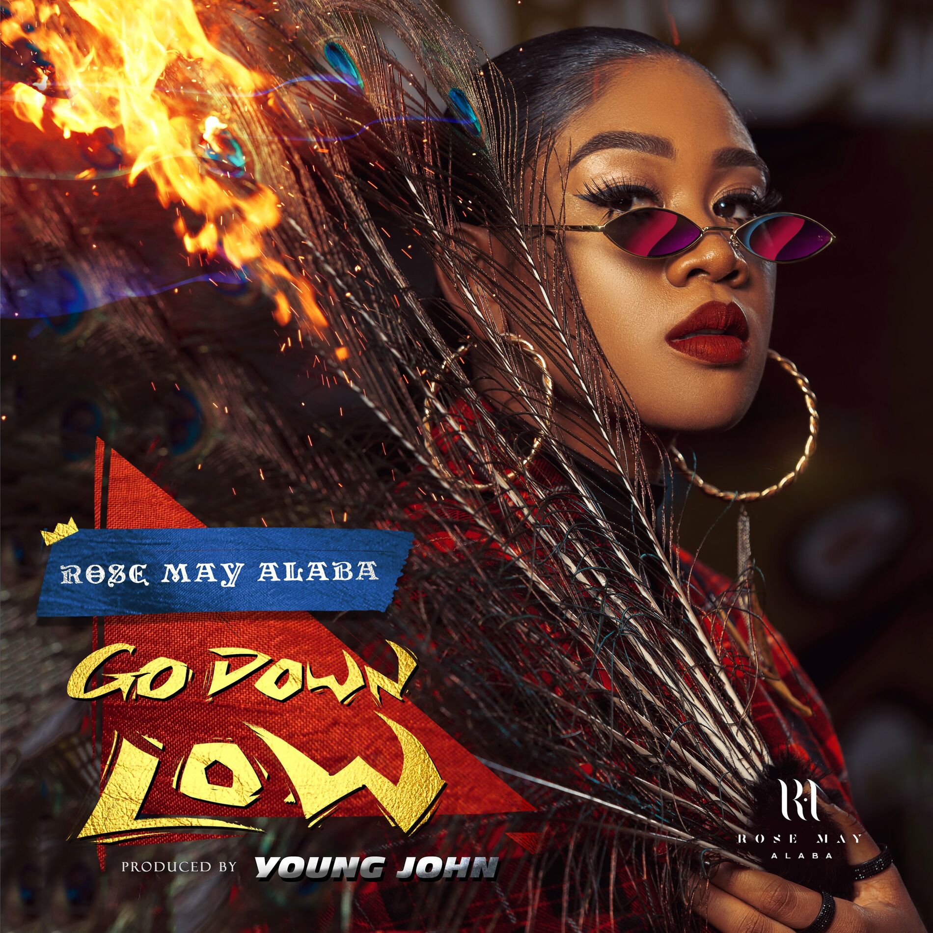 Album cover of Go Down Low