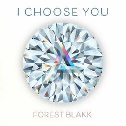 Cover of I Choose You