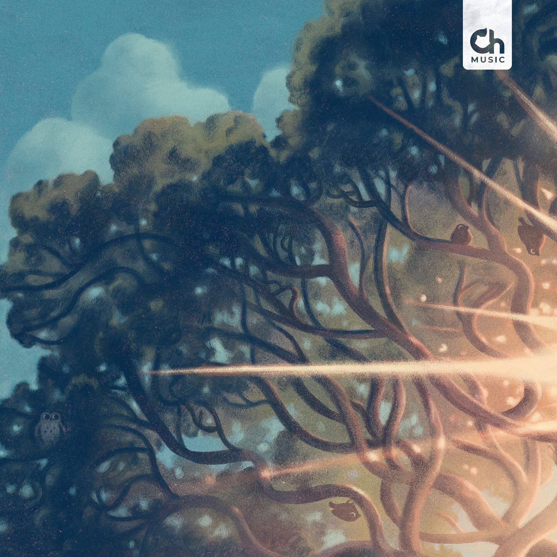 Album cover of Parasol