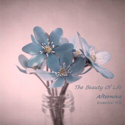 Cover of The Beauty Of Life (Essential Mix)