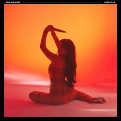 Cover of Payback