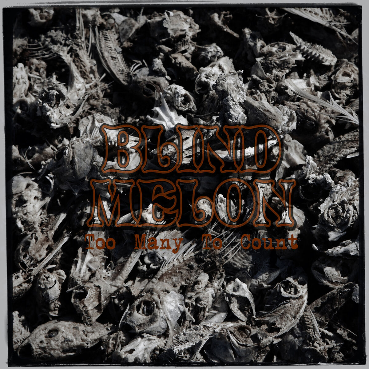 Album cover of Too Many to Count