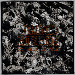 Cover of Too Many to Count