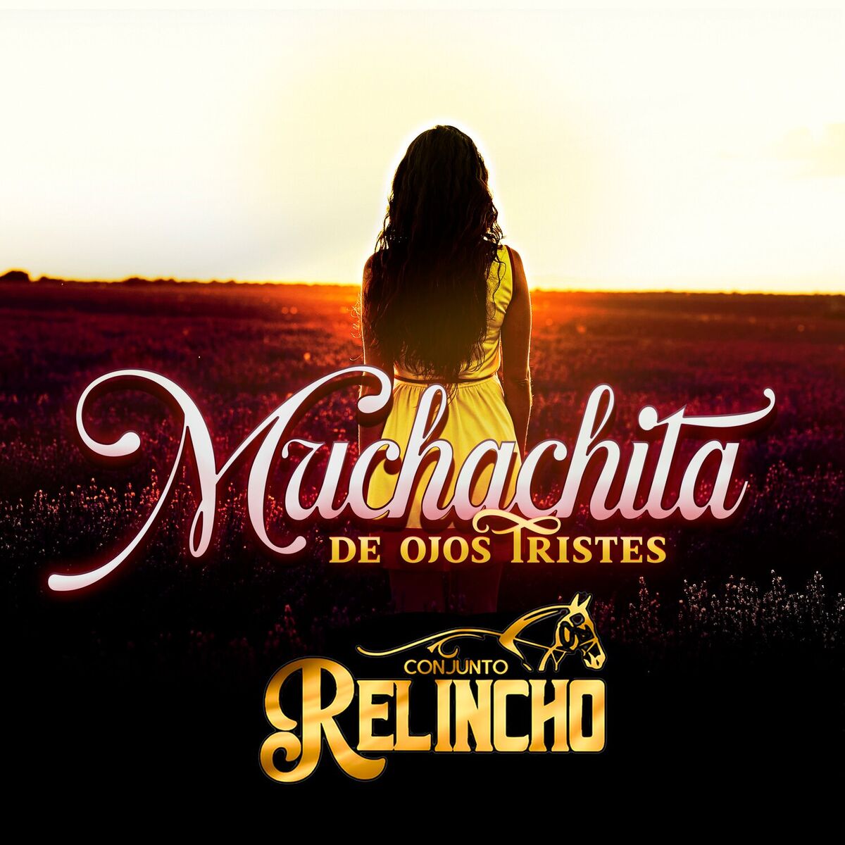 Album cover of Muchachita de Ojos Tristes