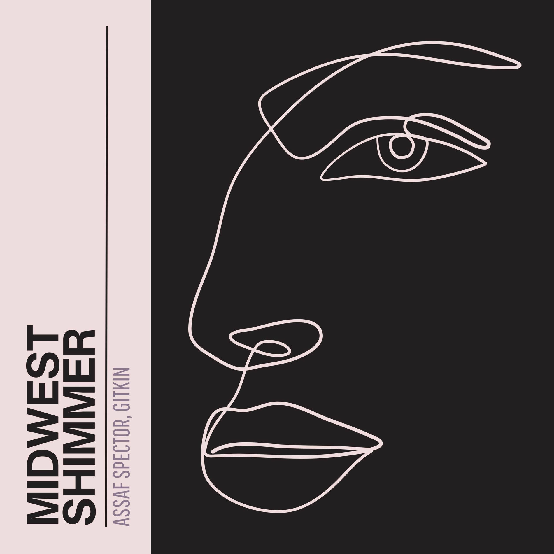 Album cover of Midwest Shimmer