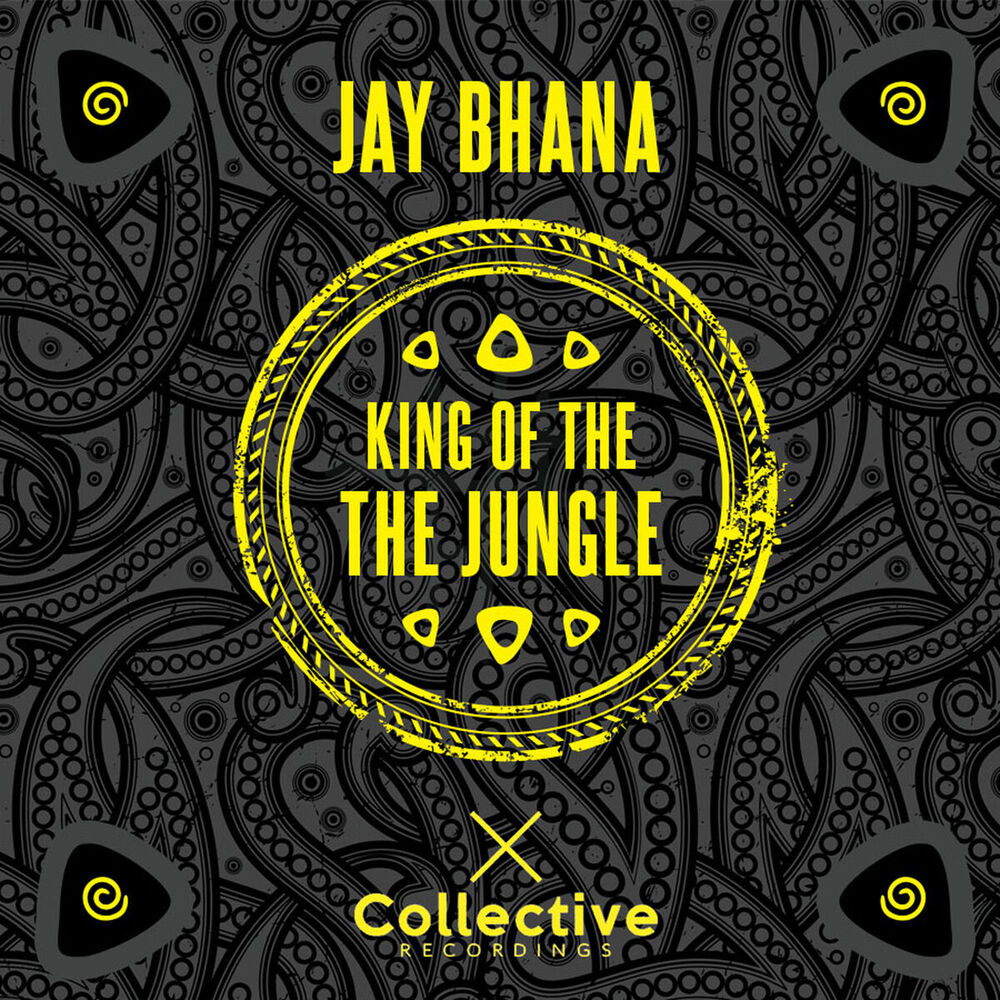 Picture of King of the Jungle