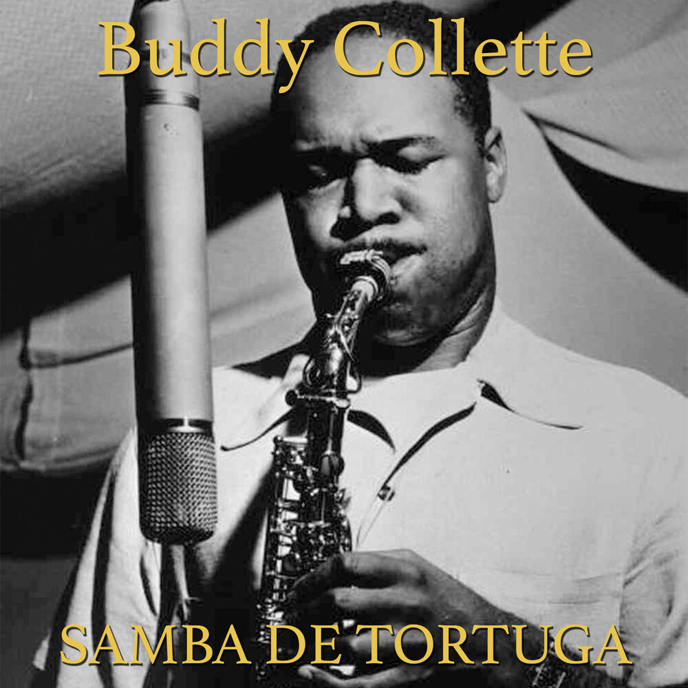 Picture of Samba da Tartaruga