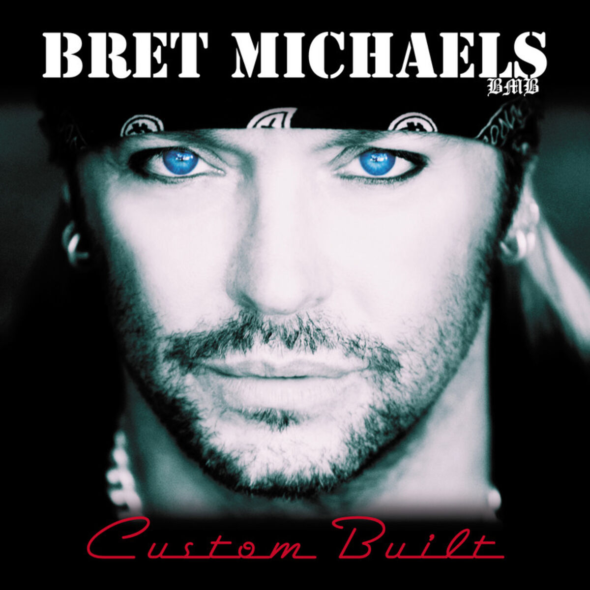 Album cover of Custom Built